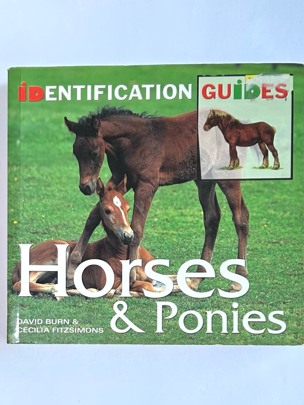 4/$20 Horses & Ponies Softcover Book Identification Guides